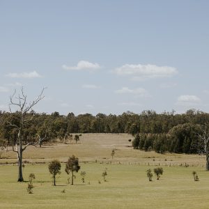 Corunna Station | Hunter Valley